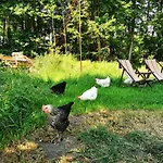 شقة Vor Dem Berg Bergstrasse 21 *