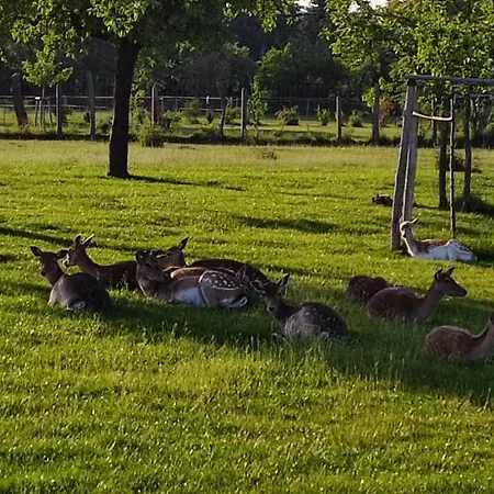 דירה Vor Dem Berg Bergstrasse 21 Heideblick