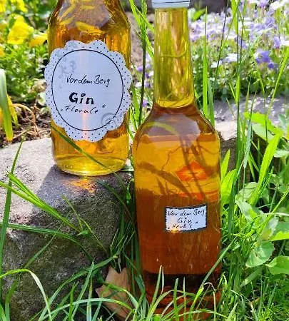 Apartment Vor Dem Berg Bergstraße 21 *