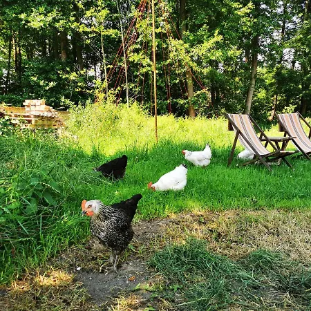 דירה Vor Dem Berg Bergstrasse 21 *