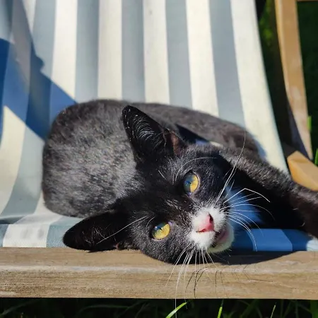 Vor Dem Berg Bergstraße 21 Heideblick