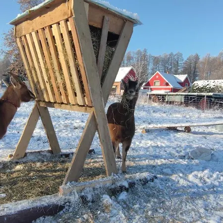 Vor Dem Berg Bergstraße 21 Heideblick