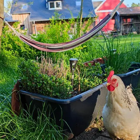 Vor Dem Berg Bergstraße 21