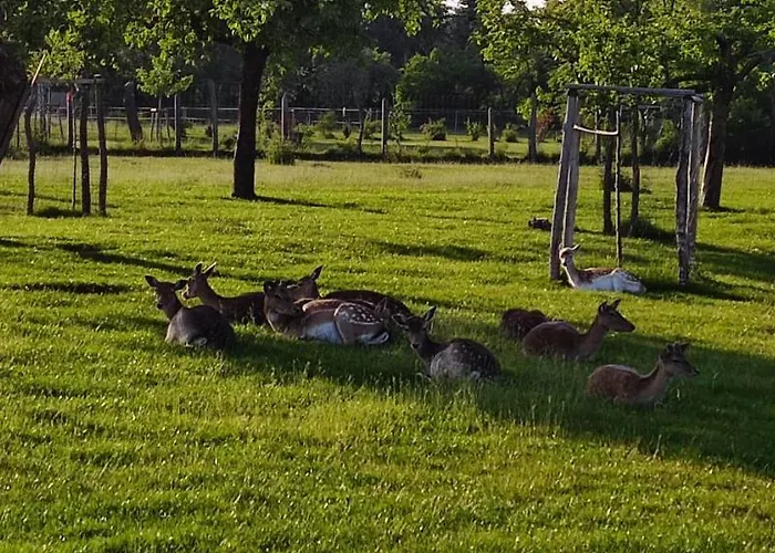 Lägenhet Vor Dem Berg Bergstrasse 21 Heideblick