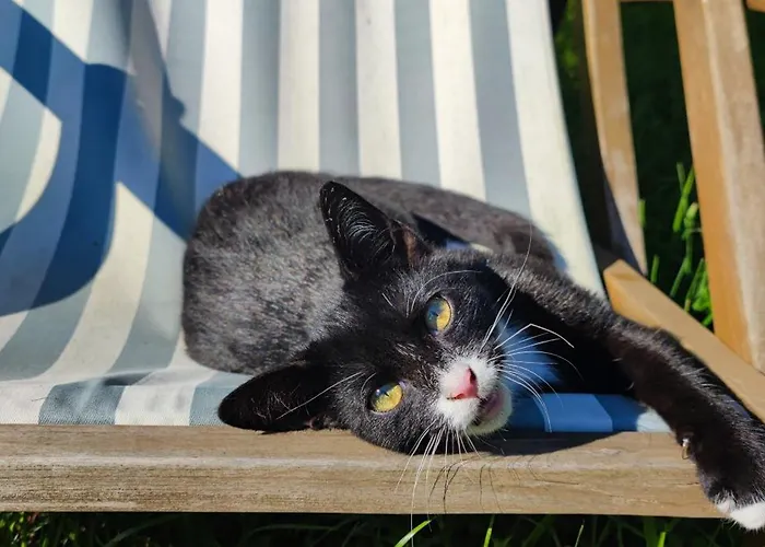 Vor Dem Berg Bergstrasse 21 Heideblick