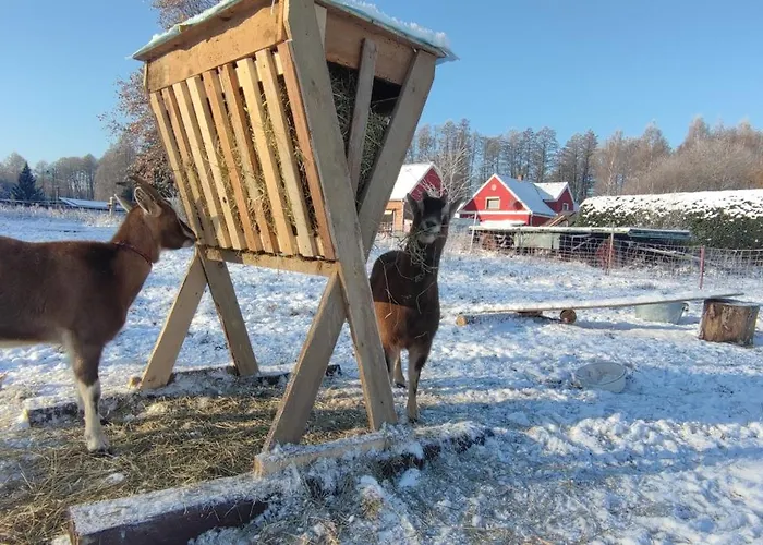 Vor Dem Berg Bergstrasse 21 Heideblick